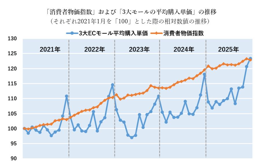 出所： 総務省統計局「消費者物価指数」およびNint ECommerceのデータをもとに筆者作成